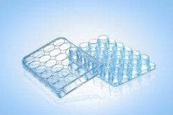 24wells culture plate (F1004)